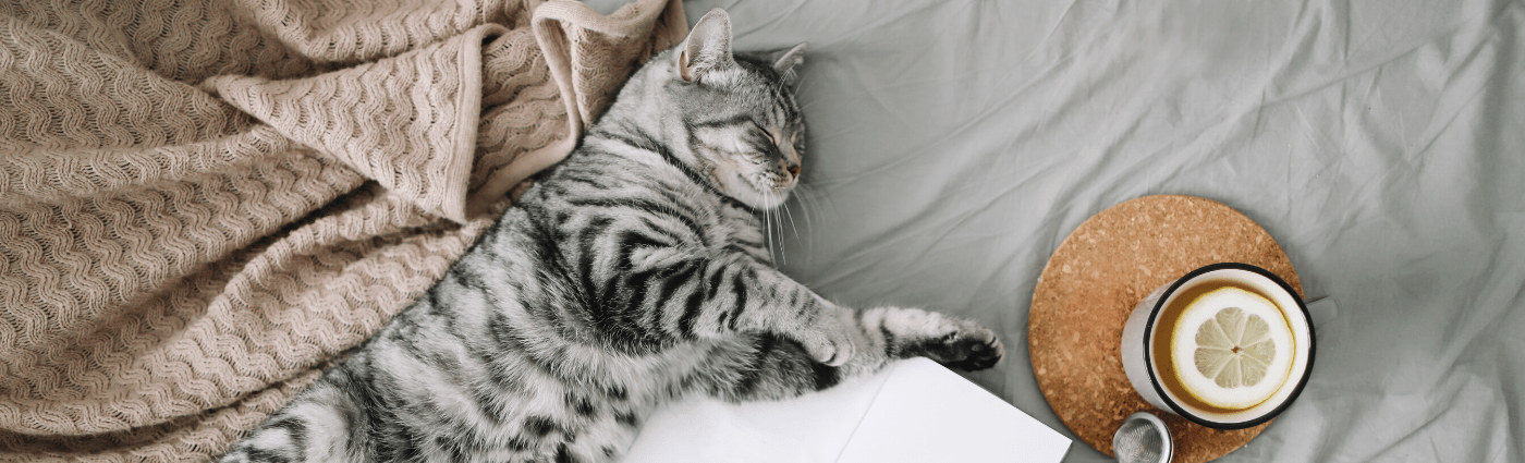 hygge bien-être