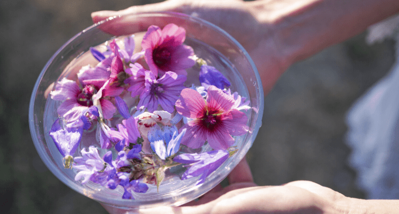 huiles-essentielles-plantes-et-fleurs-de-Bach-les-indispensables-bio-en-confinement