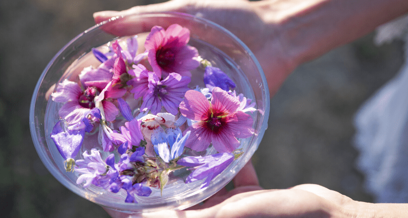 huiles-essentielles-plantes-et-fleurs-de-Bach-les-indispensables-bio-en-confinement