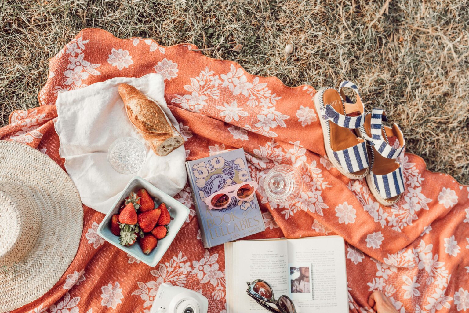 picnic végétarien et bio