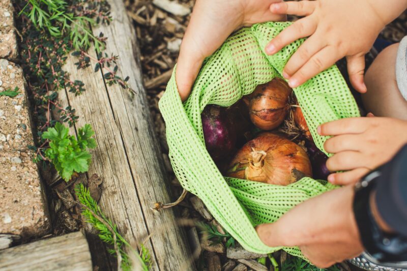 qu'est-ce que le bio, définition, reconnaître les labels bio -min