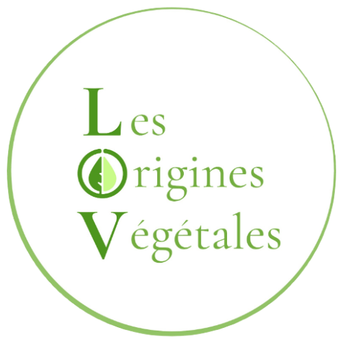 les origines végétales, coloration végétale bio pour cheveux