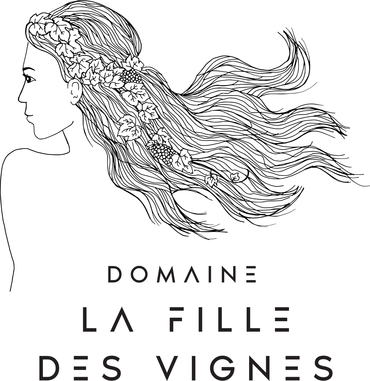 domaine-la-fille-des-vignes