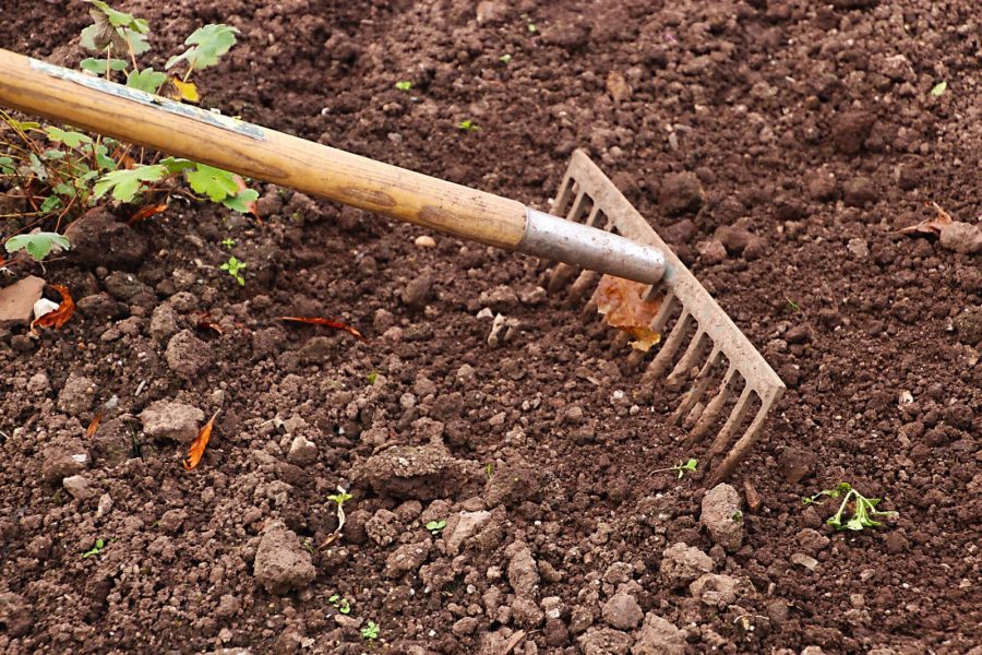 jardinage potager maison, comment bien préparer jardinage potager maison, comment bien préparer