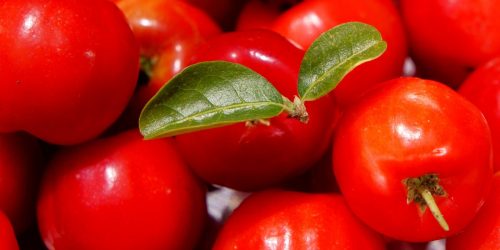 acérola acerola